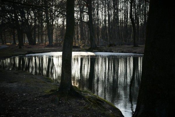 Fotokurs Dülmen - Wildpark - Image 4