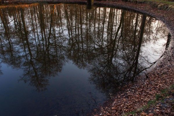 Fotokurs Raesfeld - Schloss & Tiergarten - Image 0