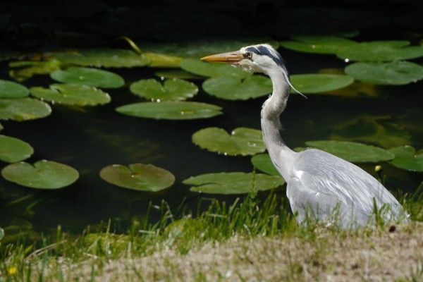 Fotokurs Raesfeld - Schloss & Tiergarten - Image 2