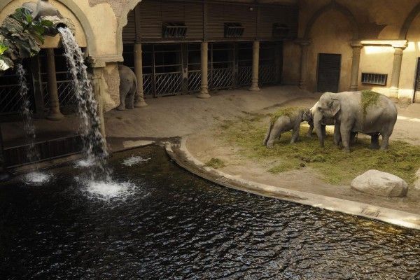 Fotokurs Hamburg - Tierpark Hagenbeck - Image 2