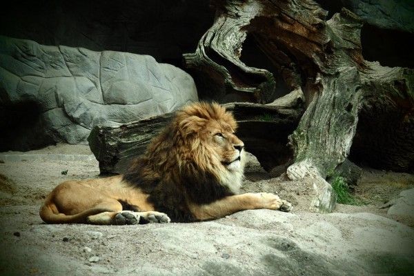 Fotokurs Hamburg - Tierpark Hagenbeck - Image 3