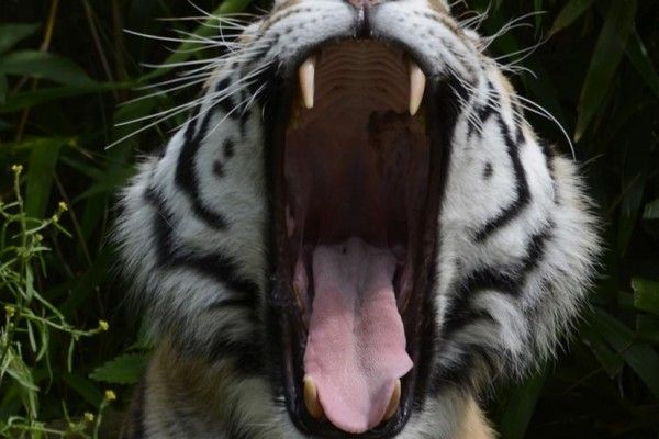Fotokurs Münster - Allwetter-Zoo - Image 3