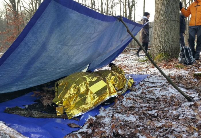 A blue emergency shelter in a woodland area with fallen autumn leaves