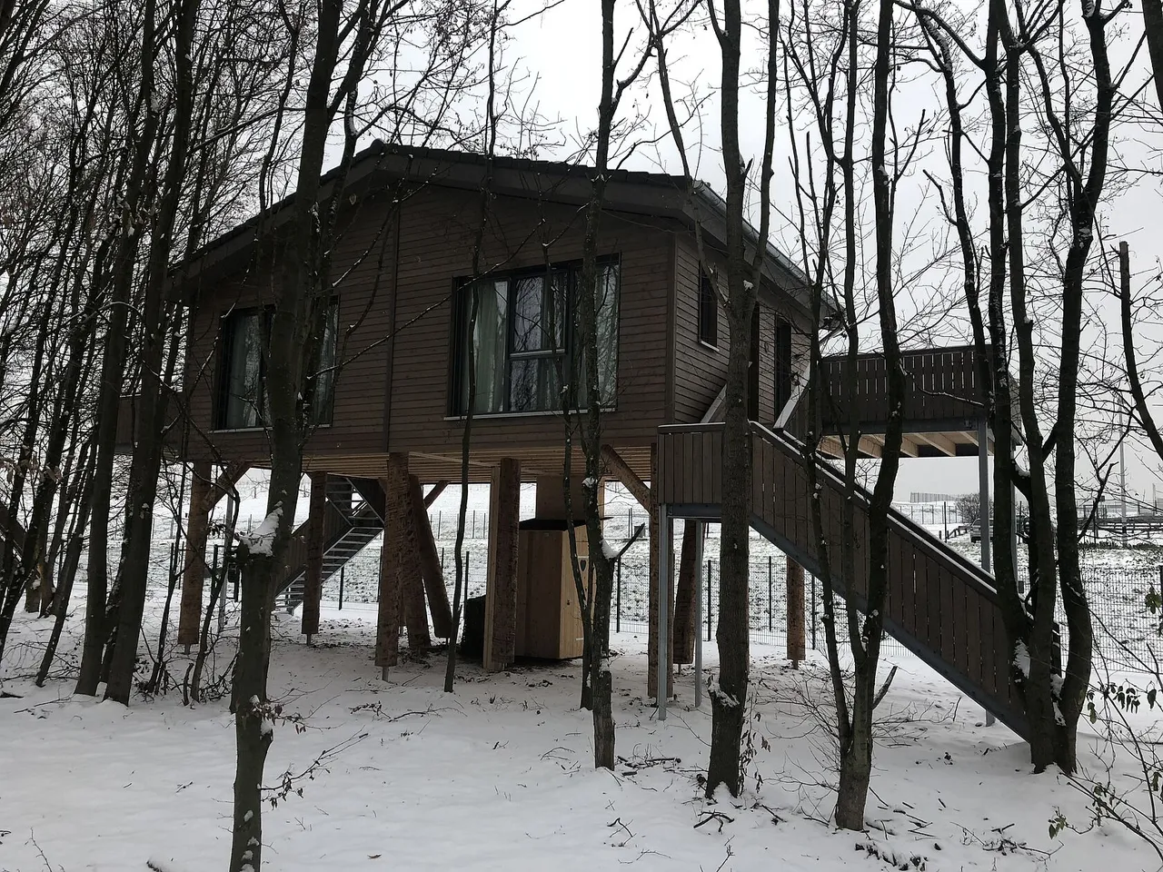 Wooden tree chalet raised on stilts with a staircase in a snowy winter forest