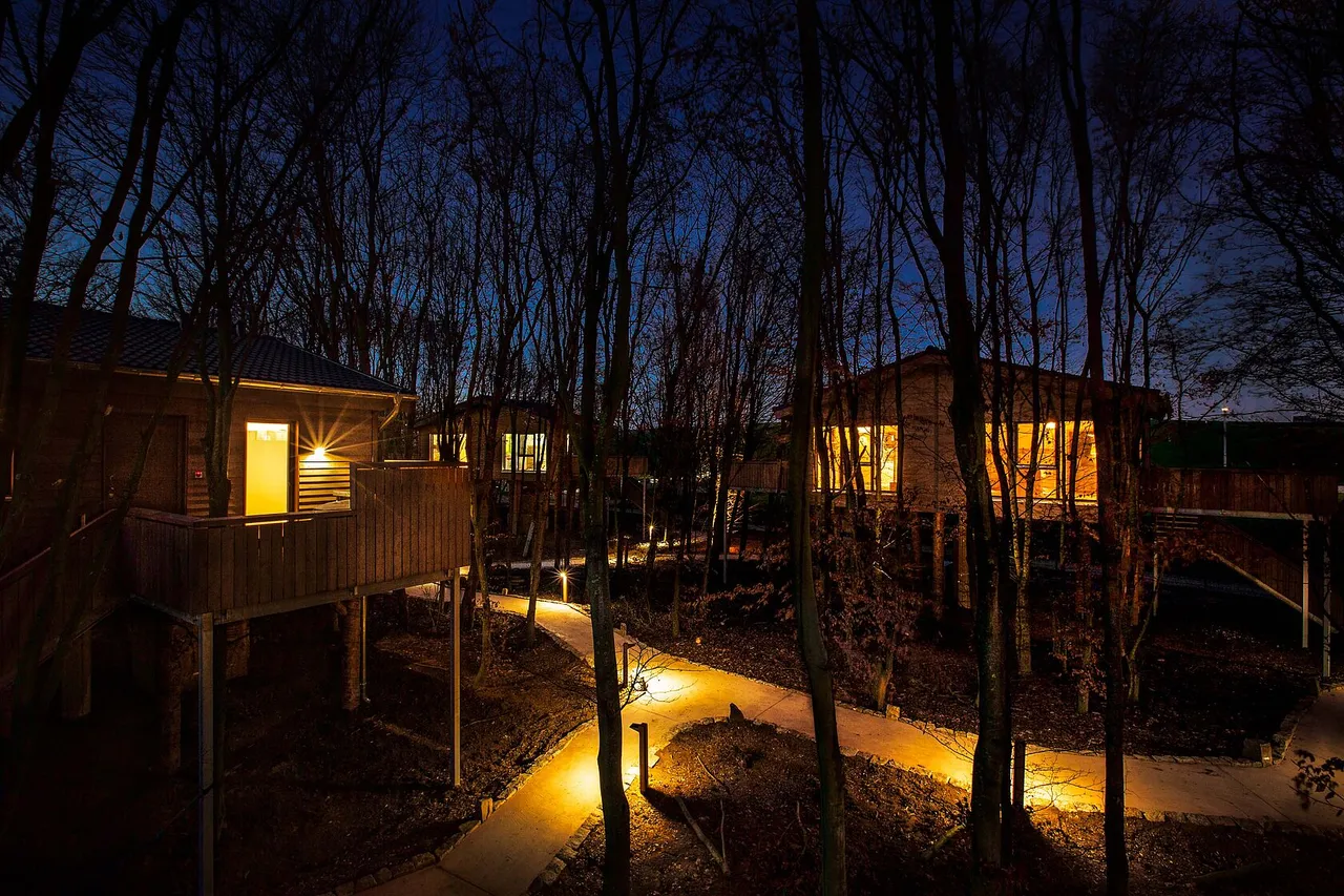 Tree chalets on stilts glowing with warm lights in the forest at night
