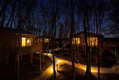 Tree chalets on stilts glowing with warm lights in the forest at night