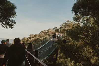 Rügen-Inselrundfahrt mit Skywalk  - Gift Image
