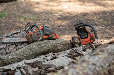 Two chainsaws, a battery-powered and a gas-powered model, resting side by side on a fallen log