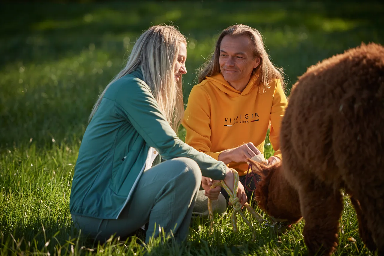 Two people sitting in the grass, petting a brown alpaca in golden evening light