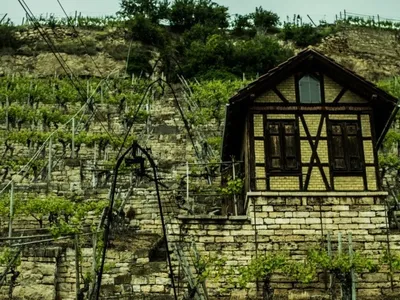 Weinsafari - Image 3
