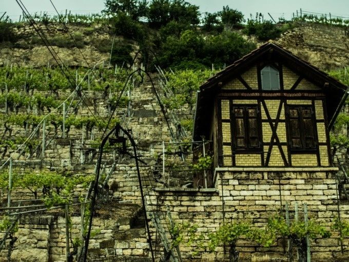 Weinsafari - Image 3