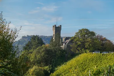 Medieval castle tower with flag rising above terraced vineyard slopes on a hillside during autumn, surrounded by golden-green grapevines and trees under blue sky.
