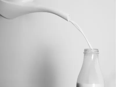 WELT DER SCHATTEN - Image 3