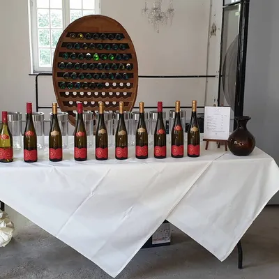 Row of wine bottles lined up on a white tasting table in front of a wine rack