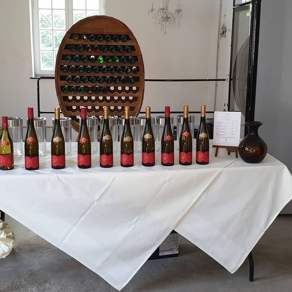 Row of wine bottles lined up on a white tasting table in front of a wine rack
