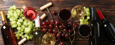 Red and white wine in glasses with fresh grapes, bottles and corks on a dark wooden table