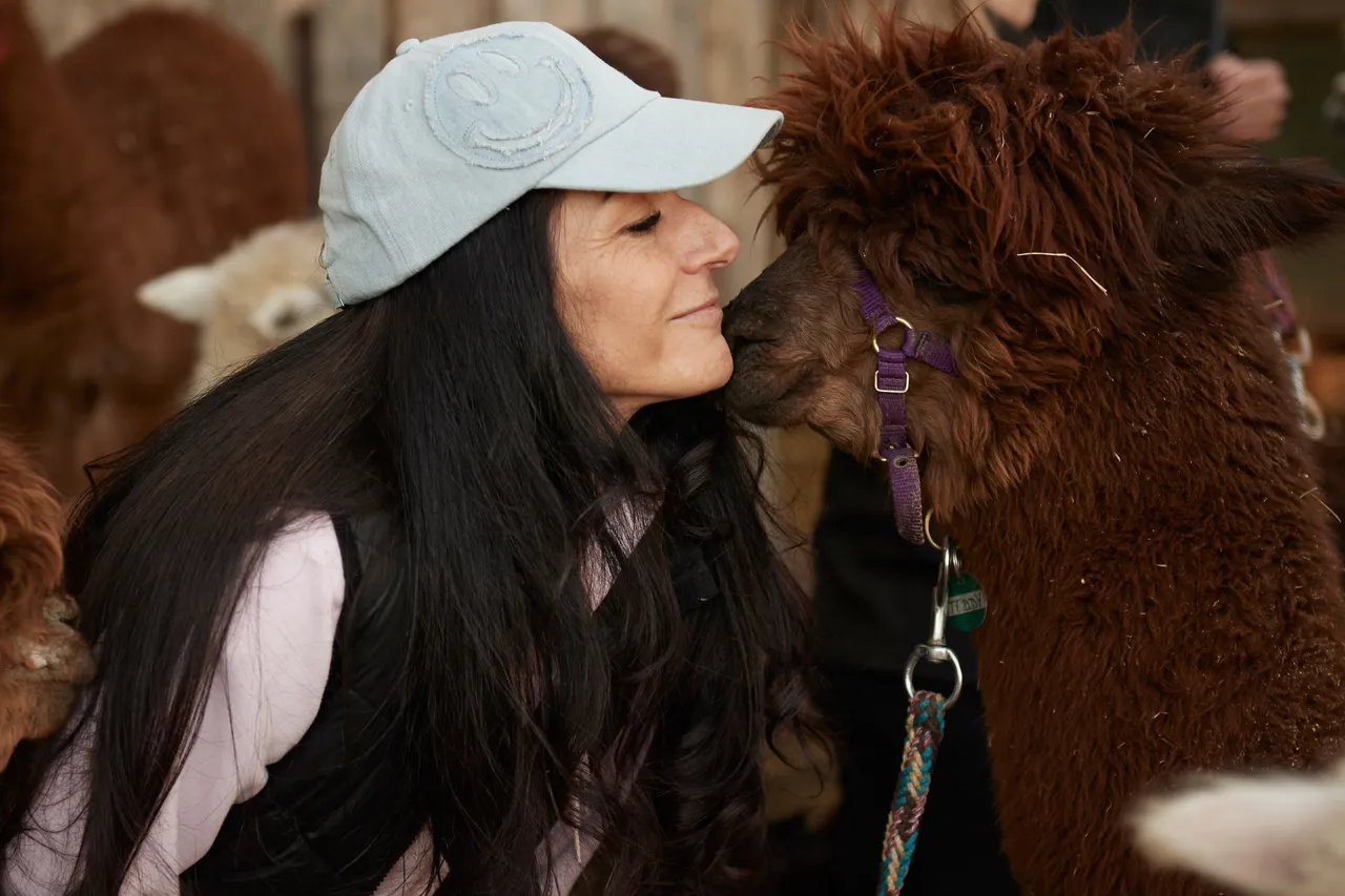 Woman in a cap cuddling a fluffy brown alpaca